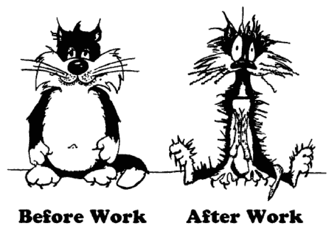 A cartoon of a cat. Before work it sits calm and tidy. After work it is frazzled, its fur standing on end.